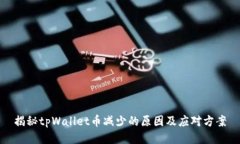 揭秘tpWallet币减少的原因及