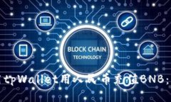 如何使用tpWallet用人民币充值BNB：详细指南