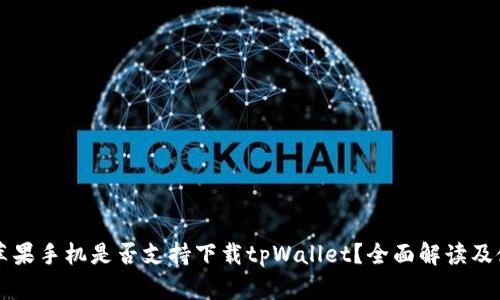 ### 苹果手机是否支持下载tpWallet？全面解读及使用指南